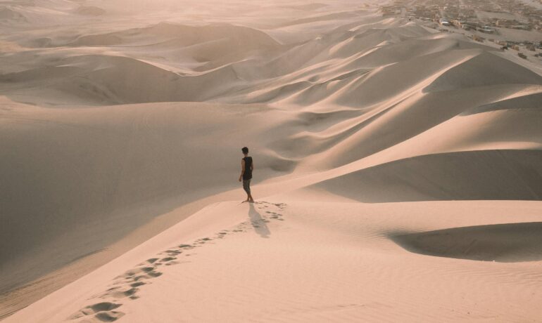 pexels-alexazabache-3250364