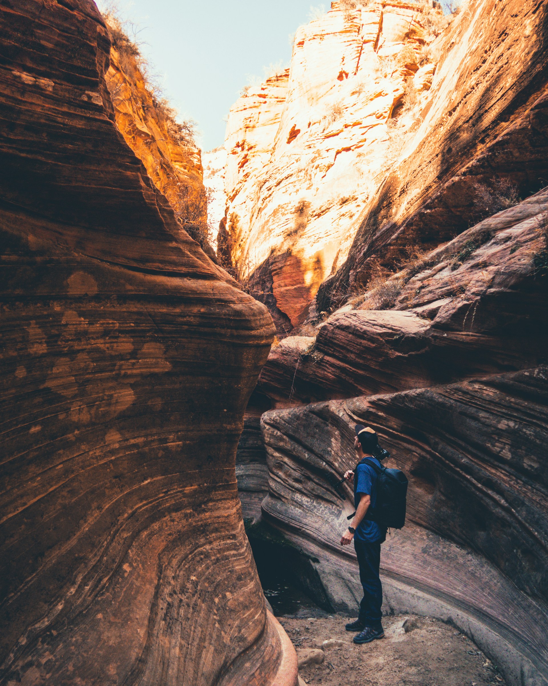 jamie fenn QXHwQOJVrwM unsplash